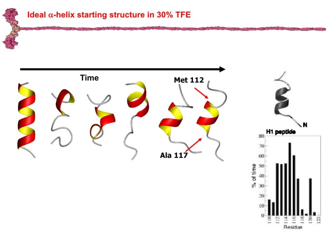 H1PeptideSlide4