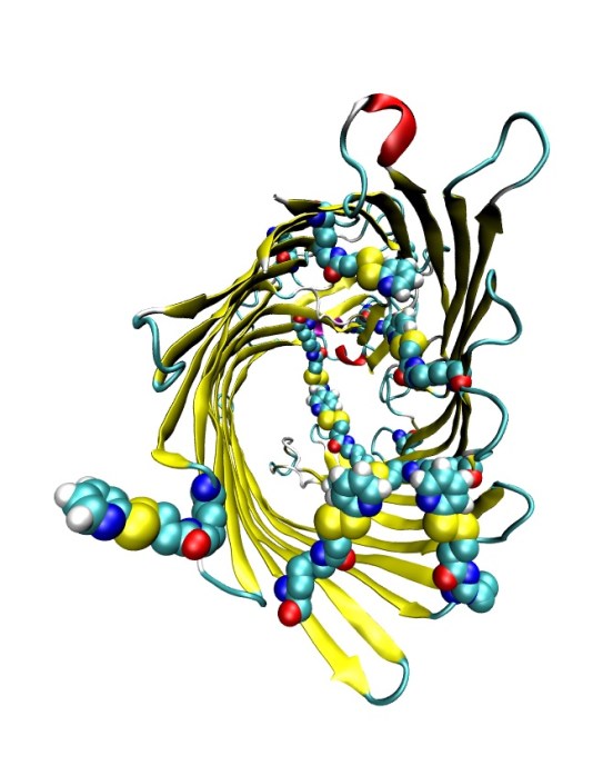 Pyridyl_noCalcetin.pov