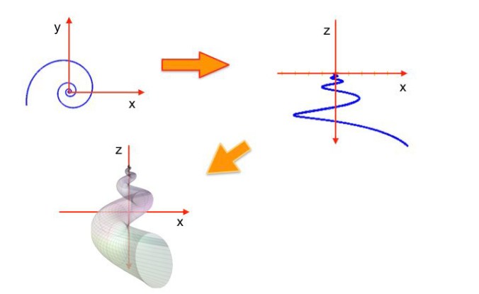 Modeling Natural Shapes: Seashells